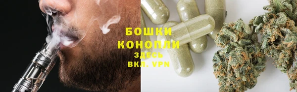мескалин Арсеньев