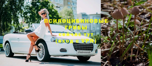 мескалин Арсеньев