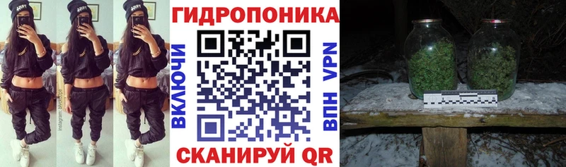 Купить закладки  Великие Луки  Конопля тримм 
